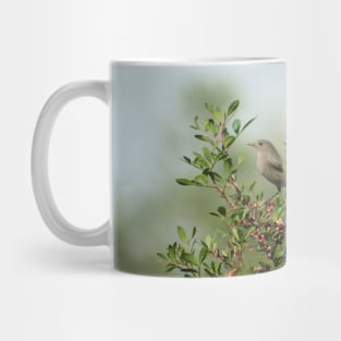 Little Grey Bird Perching on a Bush Mug